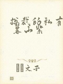 总裁的私有宝贝 暮山紫