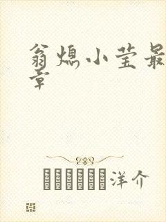 翁熄小莹最新节章