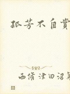 孤芳不自赏小说