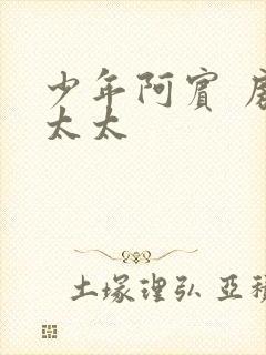 少年阿宾 房东太太