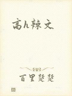 高h辣文