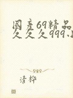国产69精品久久久久999小说