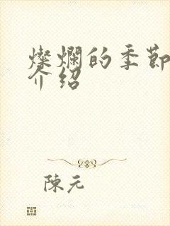 灿烂的季节剧情介绍