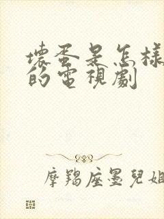 坏蛋是怎样炼成的电视剧