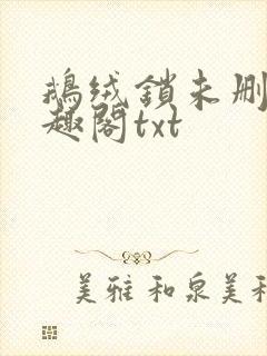 鹅绒锁未删除笔趣阁txt