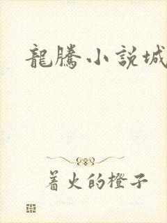 龙腾小说城