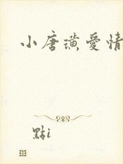 小唐璜爱情历史