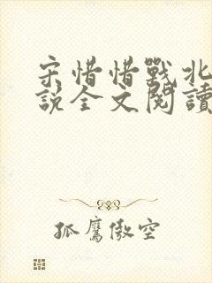 宋惜惜战北望小说全文阅读