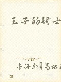 王子的骑士