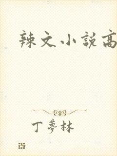 辣文小说高h