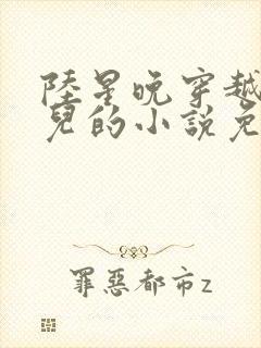 陆星晚穿越成婴儿的小说免费阅读全文