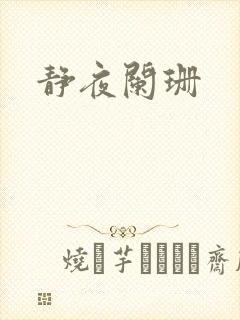 静夜阑珊