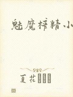 魅魔榨精小说