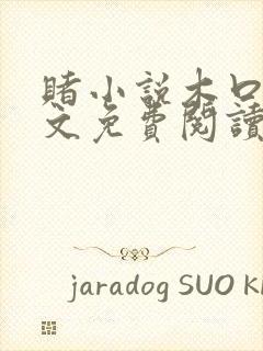 赌小说木口银全文免费阅读笔趣阁