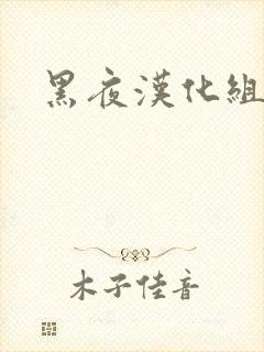 黑夜汉化组