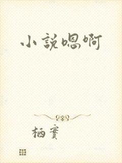 小说嗯啊