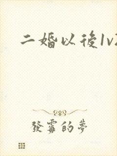二婚以后1v2