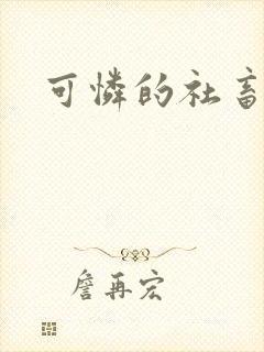 可怜的社畜小说