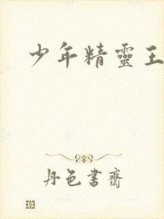 少年精灵王