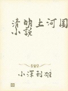 清明上河图密码小说