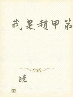 我是赵甲第小说