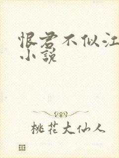 恨君不似江楼月小说