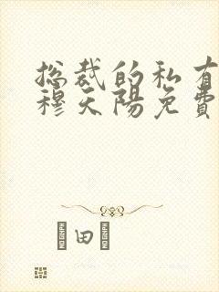 总裁的私有宝贝穆天阳免费