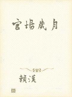 官场岁月