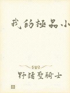 我的极品小姨