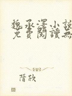 魏承泽小说全文免费阅读无弹窗笔趣