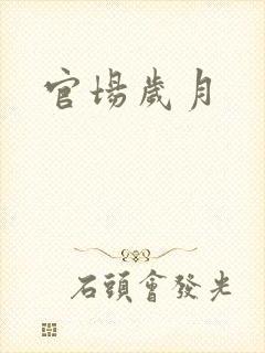 官场岁月