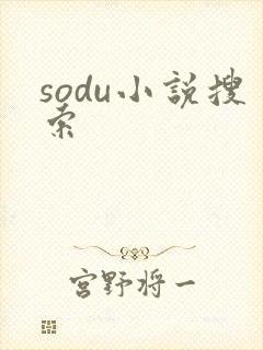 sodu小说搜索