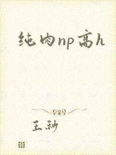 纯肉np高h