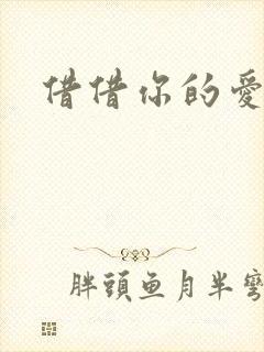 借借你的爱