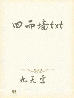 四面墙txt