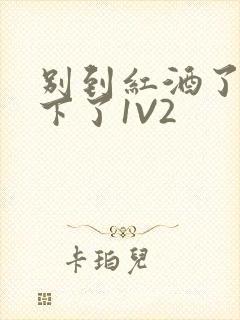 别到红酒了装不下了1V2