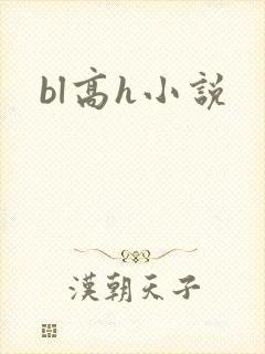 bl高h小说