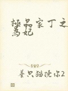 极品家丁之册母为妃