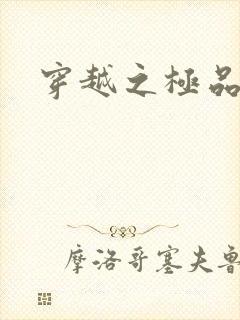 穿越之极品皇帝