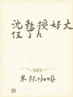 沈教授好大含不住了h