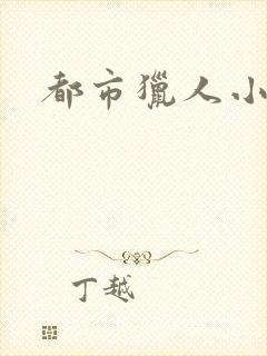 都市猎人小说
