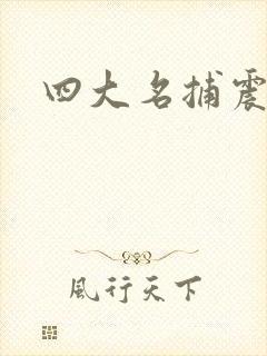 四大名捕震关东