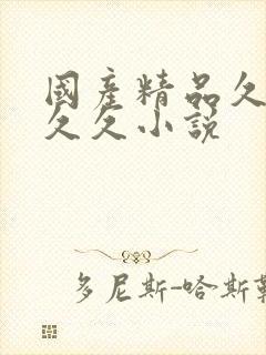 国产精品久久久久久小说