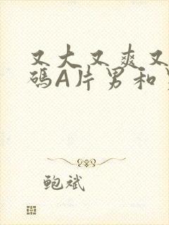 又大又爽又黄无码A片男和男