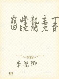 巅峰龙主丁长顺田晓兰免费阅读