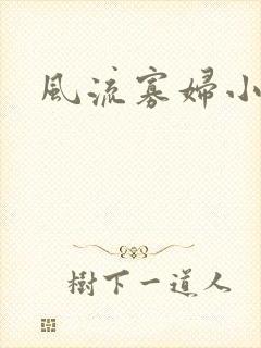 风流寡妇小说