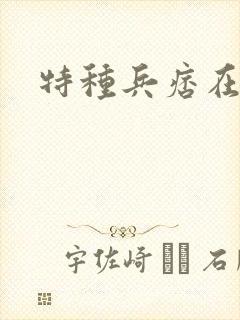 特种兵痞在都市