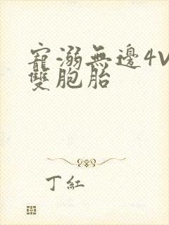 宠溺无边4V2双胞胎