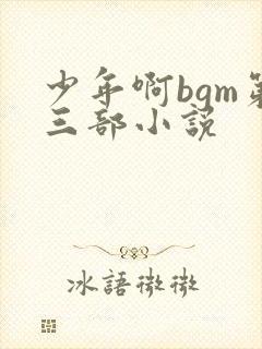 少年啊bgm第三部小说