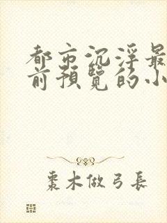 都市沉浮最快超前预览的小说3030